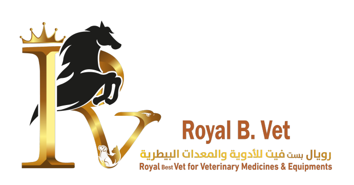 ROYAL B. VET company - Powered by Bayanalysis