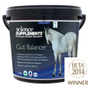 GUT BALANCER