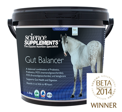 GUT BALANCER