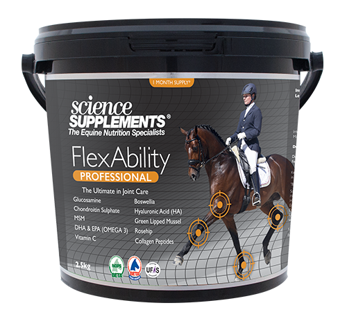 FLEXABILITY PLUS