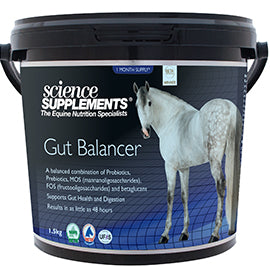 GUT BALANCER