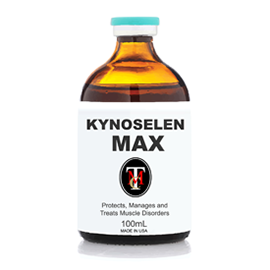 KYNOSELEN MAX