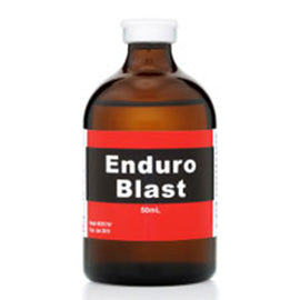 ENDURO-BLAST